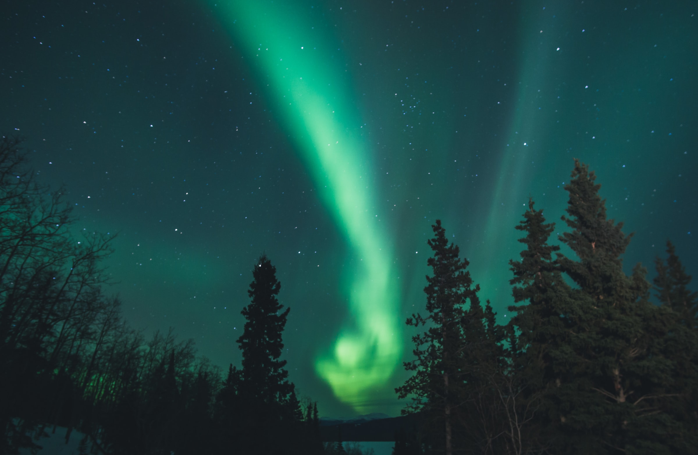 yukon